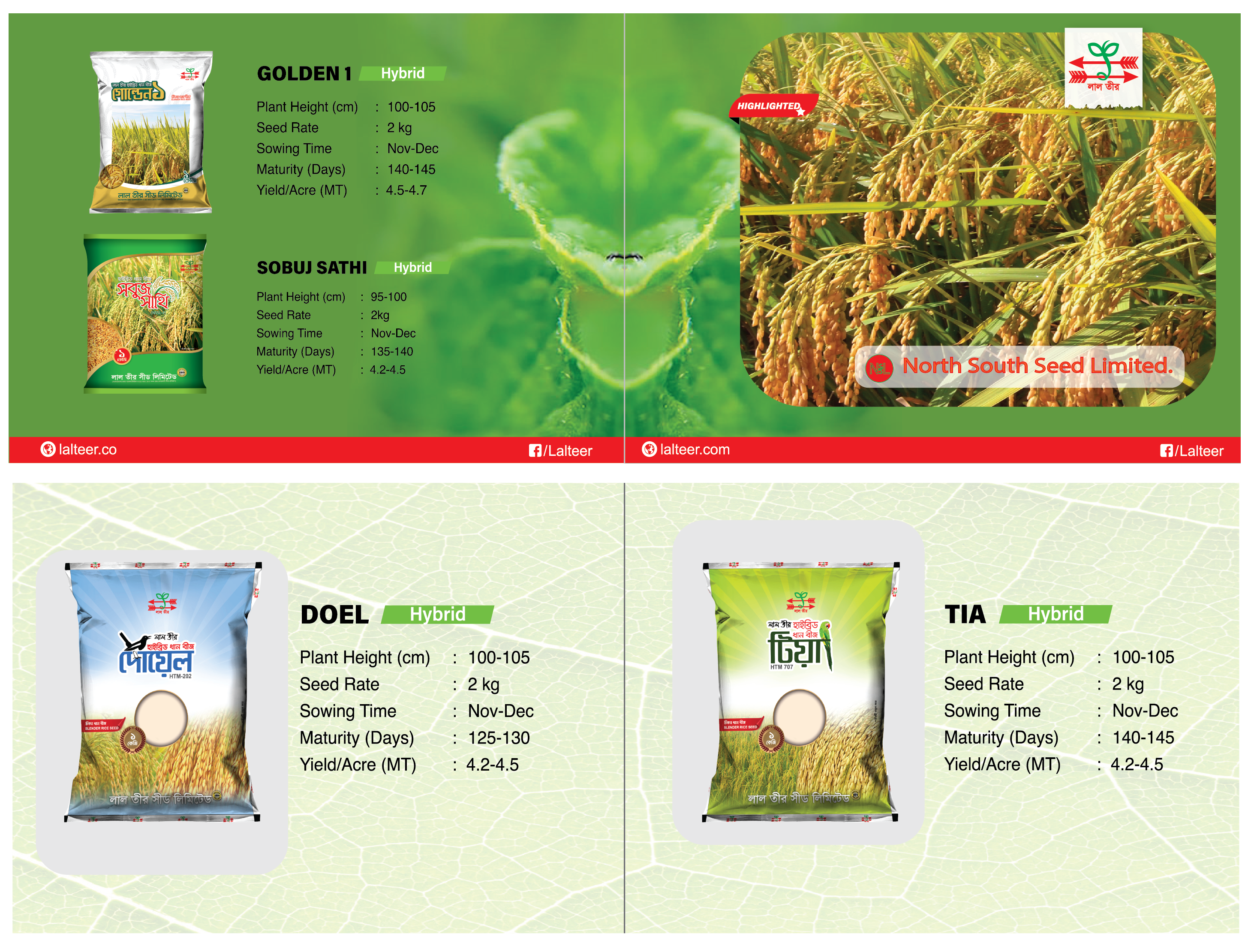 Where to Buy Rice Seeds Online in Bangladesh.