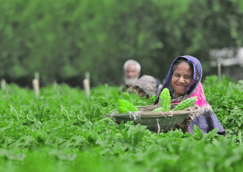 বাংলাদেশের সেরা সীড কোম্পানি– কৃষকের বিশ্বস্ত সহযোদ্ধা।