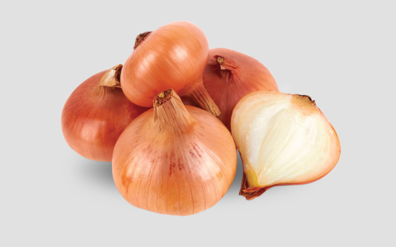 Best Onion Seeds for Bangladesh Farmers