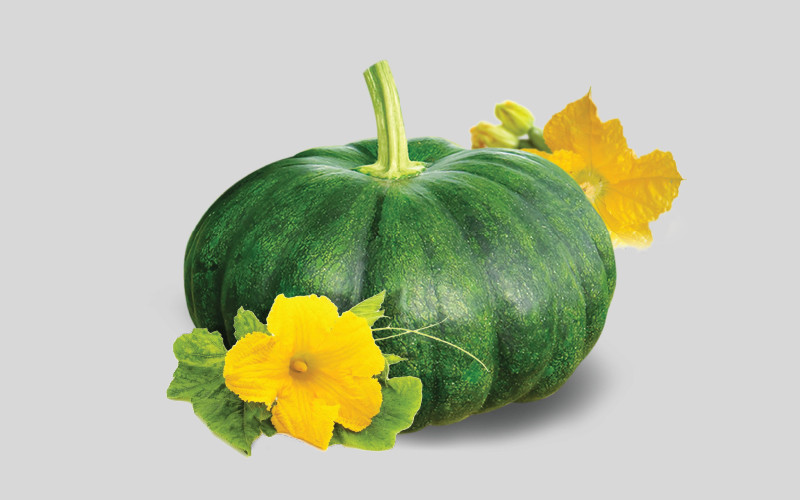 Pumpkin Maya: The Best Choice for Your Farm in Bangladesh