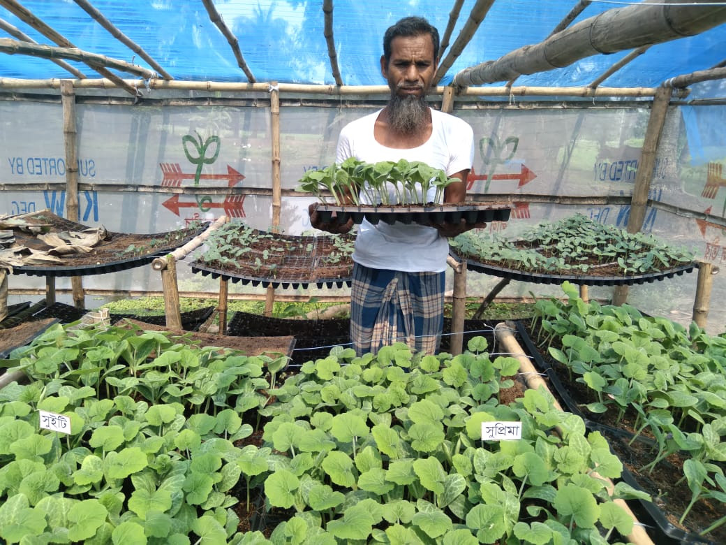 বাংলাদেশ বীজ বাজার ২০২৫ – প্রবণতা, চাহিদা এবং লাল তীরের নেতৃত্ব